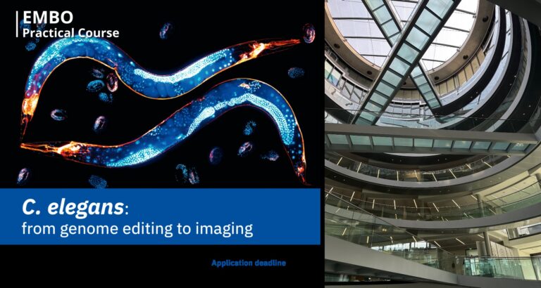 EMBO practical at EMBL